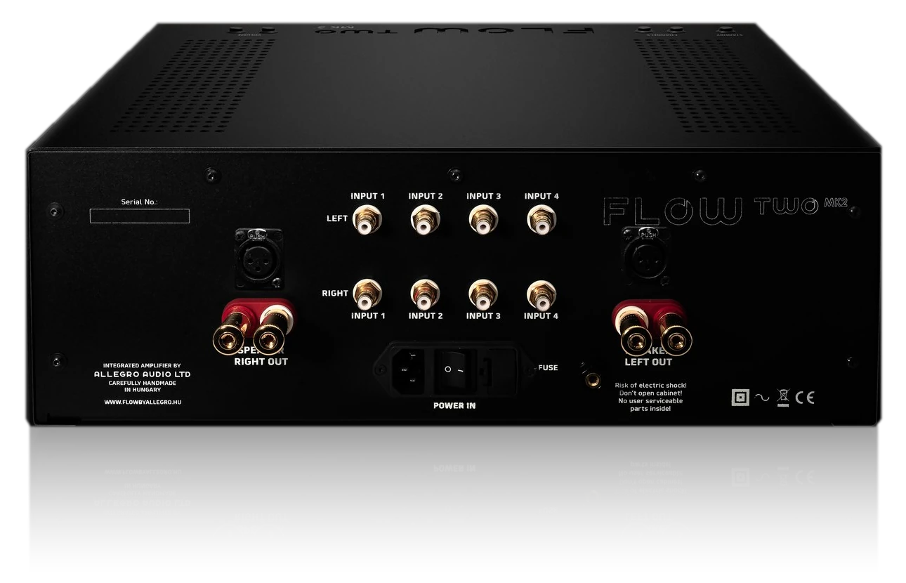 FLOW Two MK2 — rear panel: four RCA and one XLR input per channel, speaker terminals, IEC power inlet