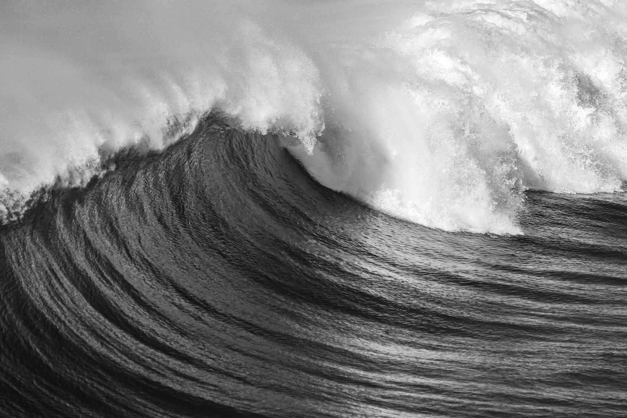 A breaking ocean wave, its face swept into long curved lines